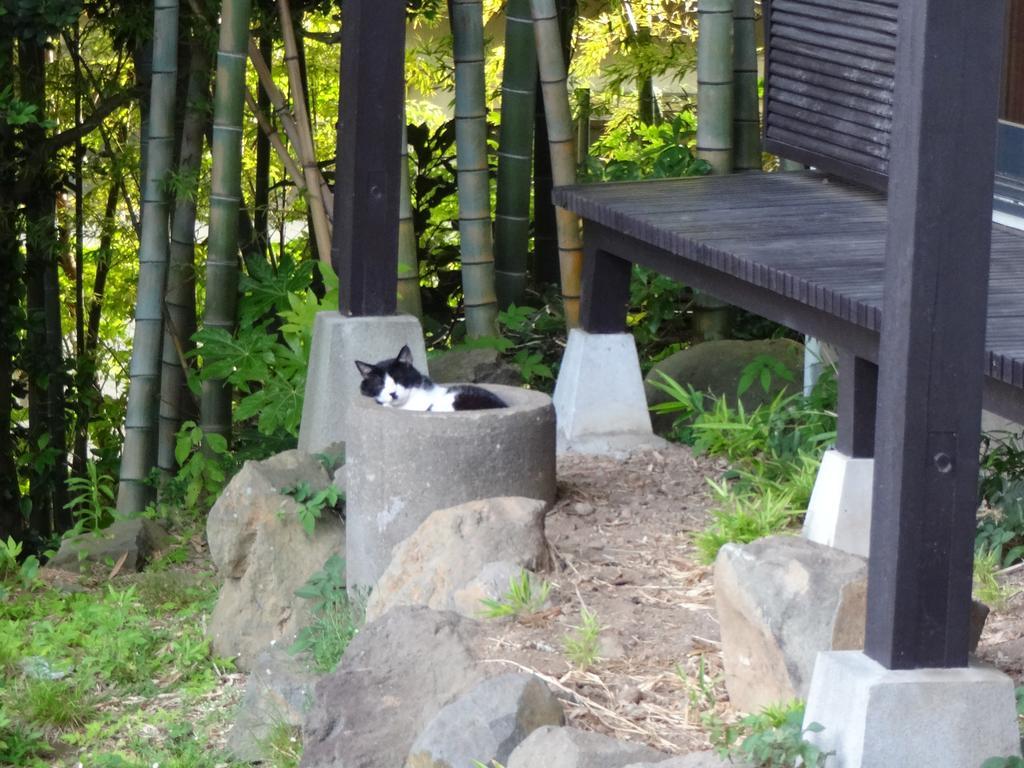 Ryokan Izuna Atami  Zewnętrze zdjęcie
